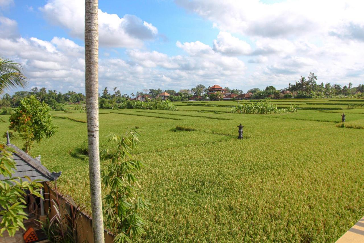 Kubu Sari Ubud Экстерьер фото